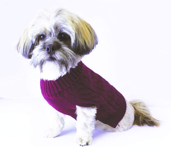 Buster & Beau , Luxury Charlton Cable Knit Dog Jumper, deep berry