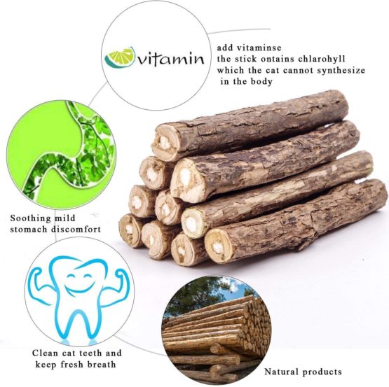 onebarleycorn - Cat Catnip Sticks,Teeth Grinding Chew Toy for Cat Kitten Natural Matatabi Dental,Pack of 20 pcs - Image 3