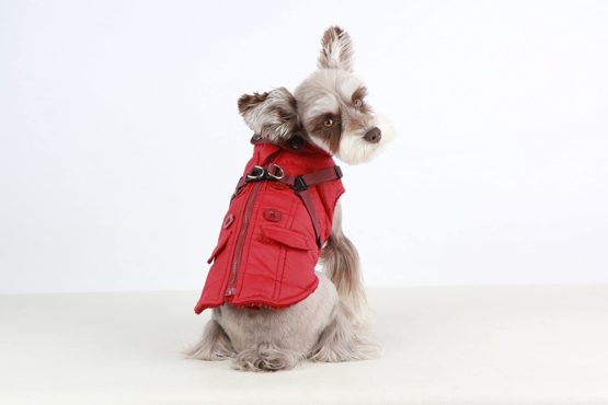 Puppia Wilkes Winter Fleece Vest, Medium, Wine - Image 2