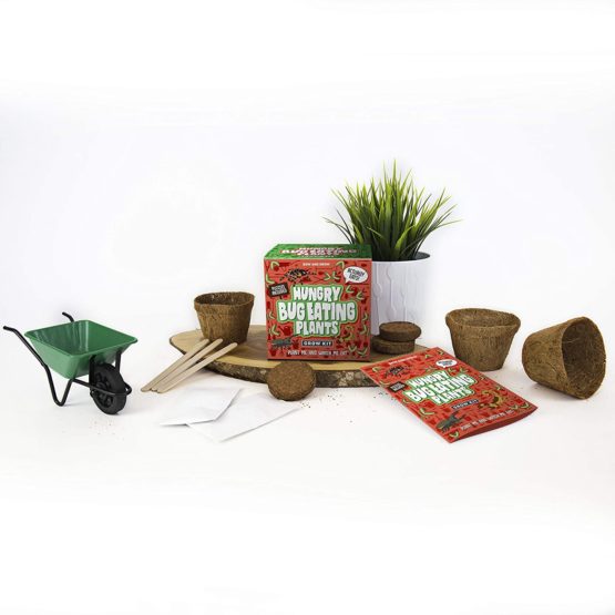 Gift Republic GR120001 - Sow And Grow, Kit for growing carnivorous plants - Image 2