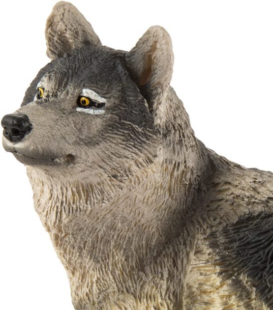 Gray Wolf - Image 4
