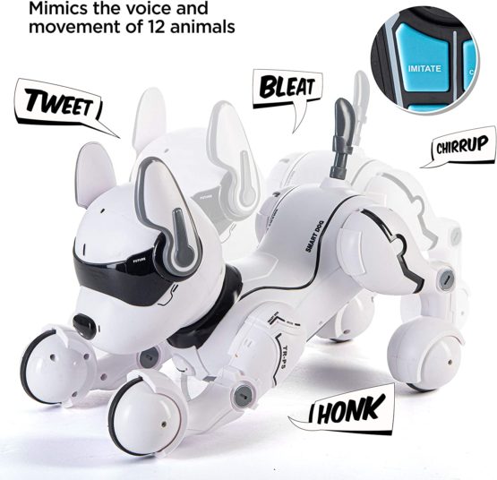 top race robot dog