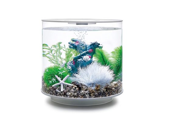biOrb Decor Set 15L Flower Garden - Image 2