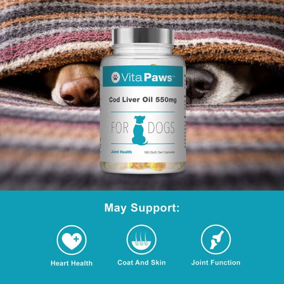 Cod Liver Oil for Dogs 550mg | 180 Soft Gel Capsules | Support The Health of The Skin and Coat | Manufactured in The UK - Image 2