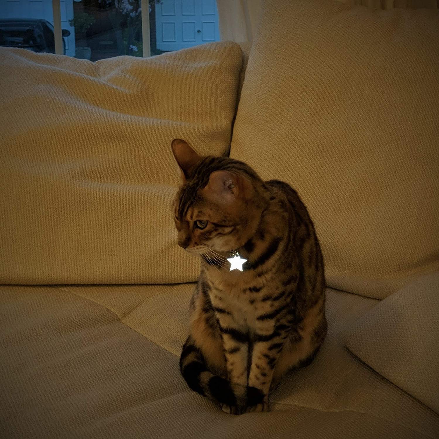 Kittyrama Reflective Star Charm. Safety Cat Tag. Lightweight, High Visibility, Waterproof. Fits All Reflective Cat Collars