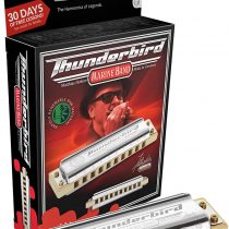 Hohner M2011BXLG Marine Band Thunderbird Diatonic Harmonica - Key of LG