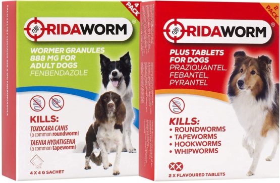 Ridaworm Dog Tablets, One Size, Pack of 2 - Image 4