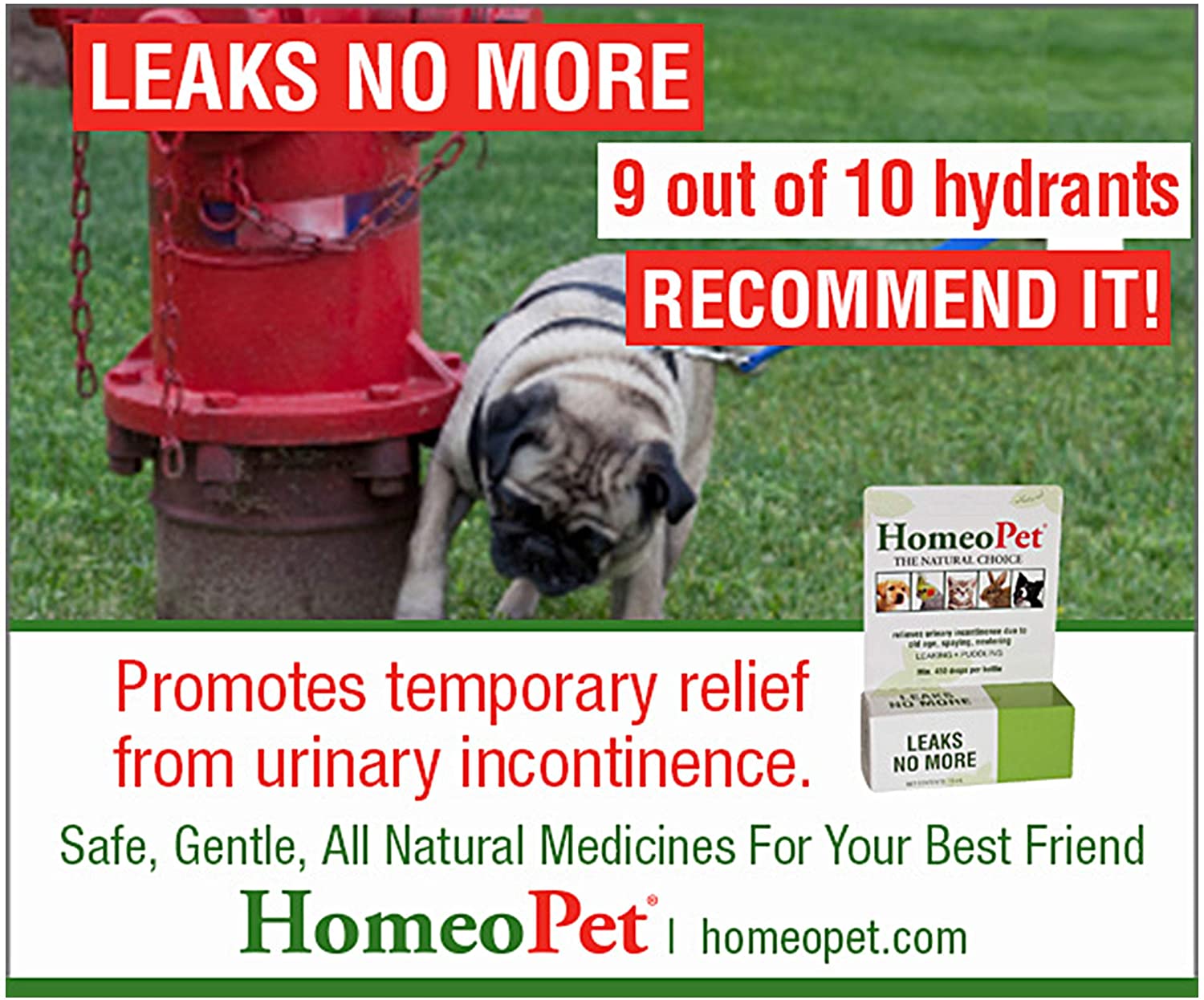HomeoPet Leaks No More, Urinary Incontinence Relief for Pets Safe and Natural Incontinence Medicine, 15 Milliliters - Image 4