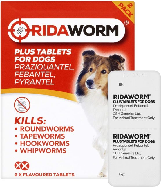 Ridaworm Dog Tablets, One Size, Pack of 2