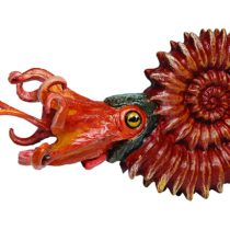 Ammonite