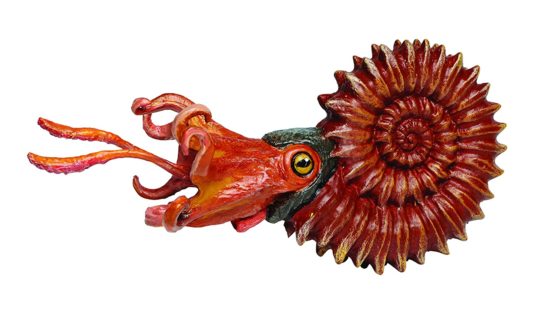 Ammonite