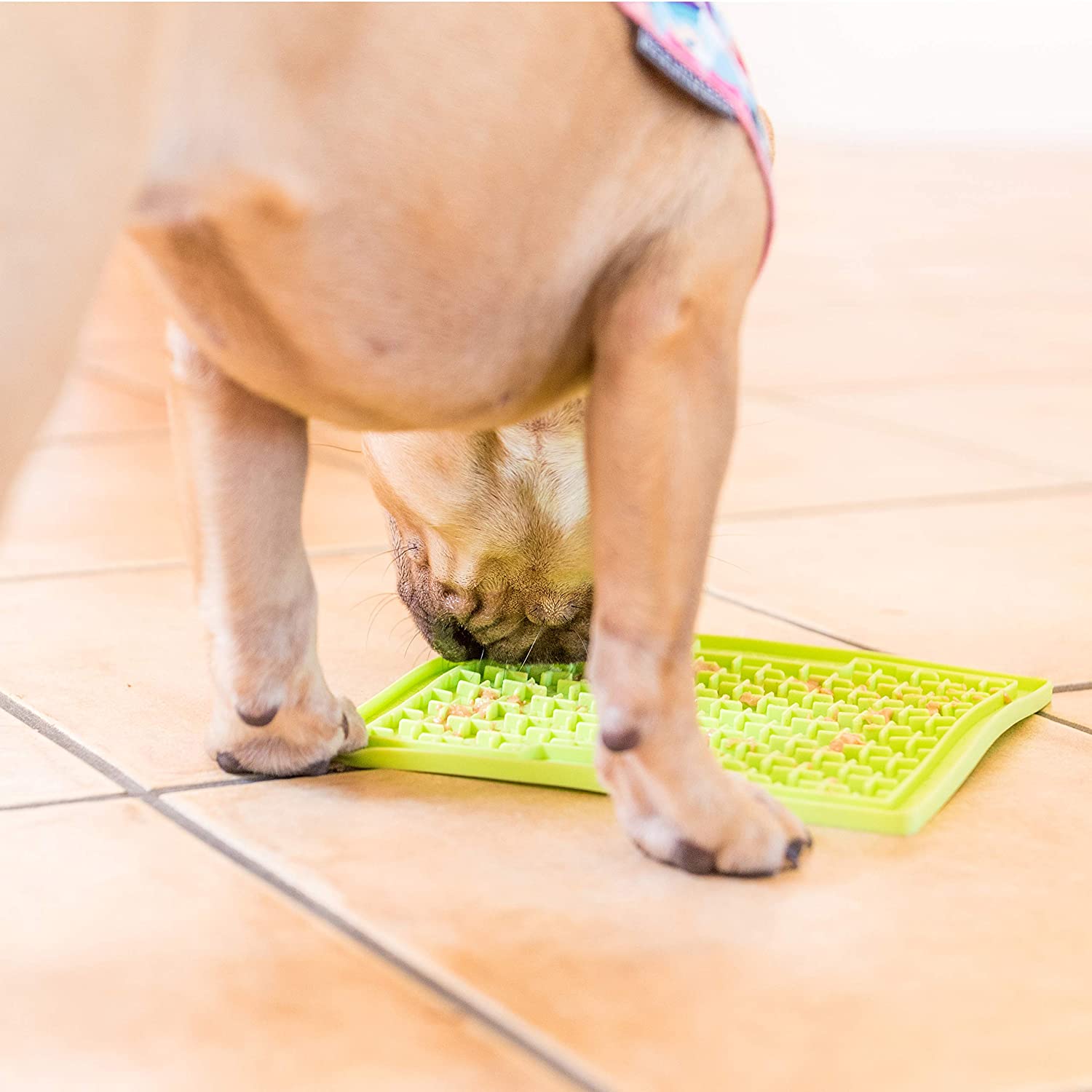 LICKIMAT Buddy Treat Mat , Assorted colors, Multi - Image 4
