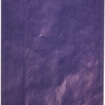 Agipa 101653 Kraft Gift Envelopes – Small, Blue)