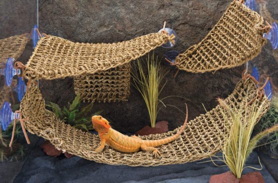 Penn Plax Lizard Lounger, 100% Natural Seagrass Fibers For Anoles, Bearded Dragons, Geckos, Iguanas, and Hermit Crabs Triangular 10 x 12 Inches - Image 2