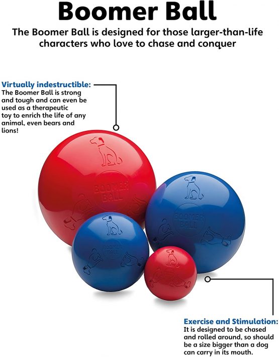 Boomer Ball, Small, Assorted colors - Image 2
