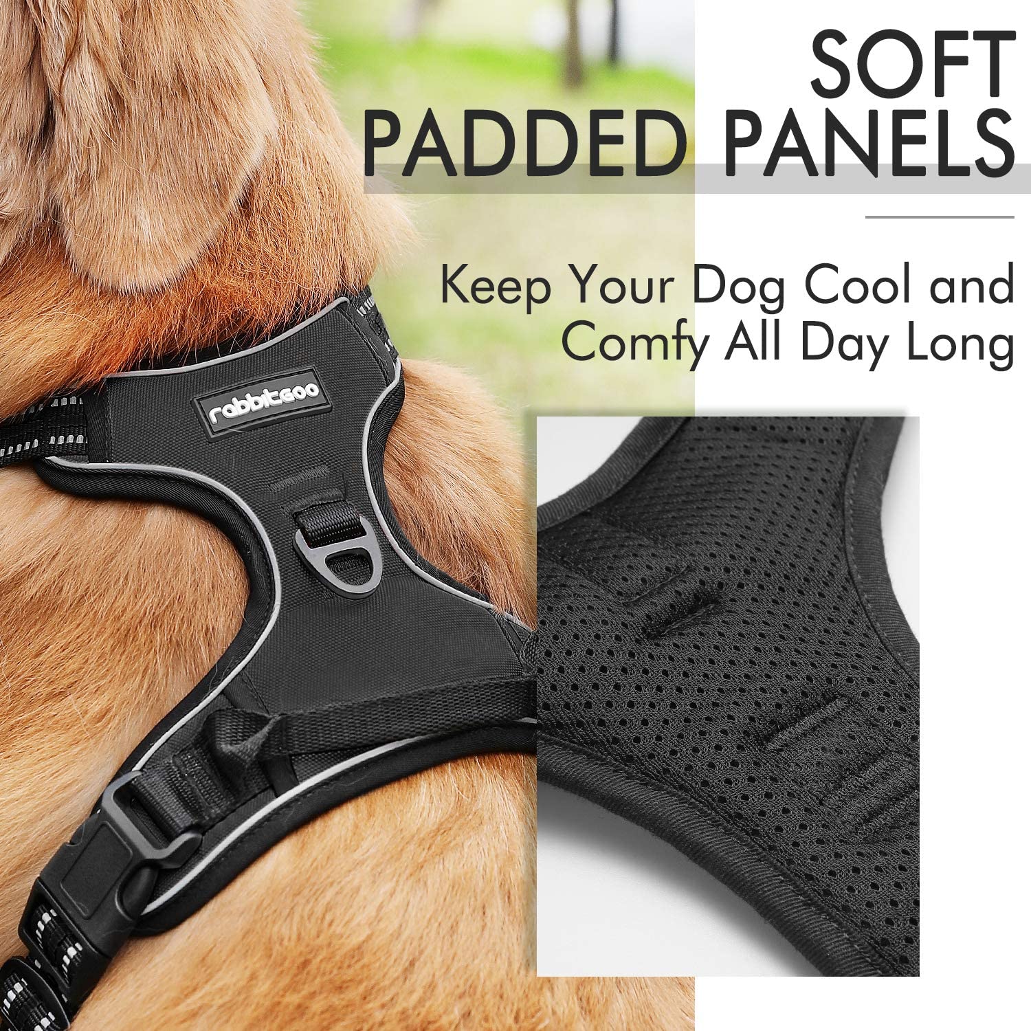 rabbitgoo Dog Harness Medium No Pull Pet Harness with 2 Leash Clips, Adjustable Soft Padded Pet Vest Harness - Image 3