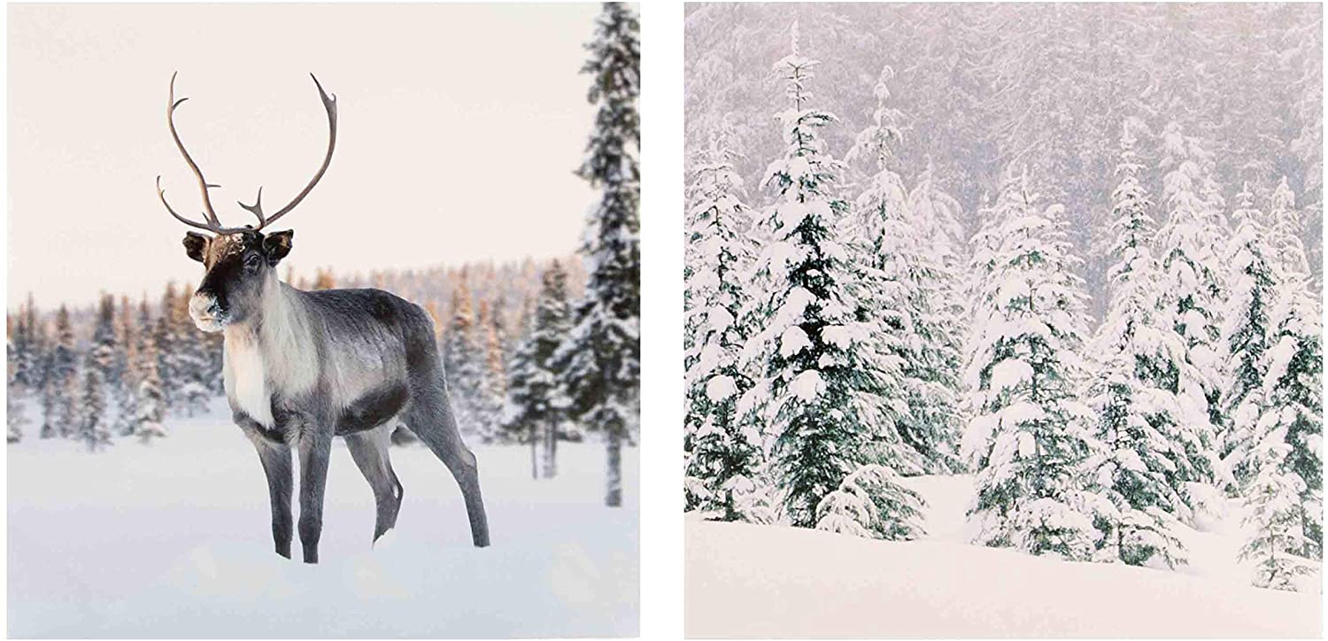 Hallmark 25499887 Gallery Christmas Card Pack "Snowy Scenes" - 10 Cards, 2 Designs
