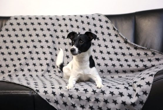 Kerbl Stella Dog Blanket, 140 x 100 cm, Grey - Image 4