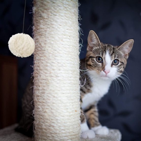 Relaxdays Freestanding Scratching Post for Cats with Sisal Post and Ball, 54 cm, Grey - Image 3