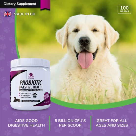 Canine Dietary Supplement, Probiotics for Dog’s Digestive Health, 100g Powder • Furever Friendz - Image 4