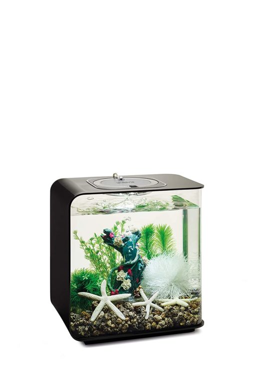 biOrb Decor Set 15L Flower Garden - Image 3