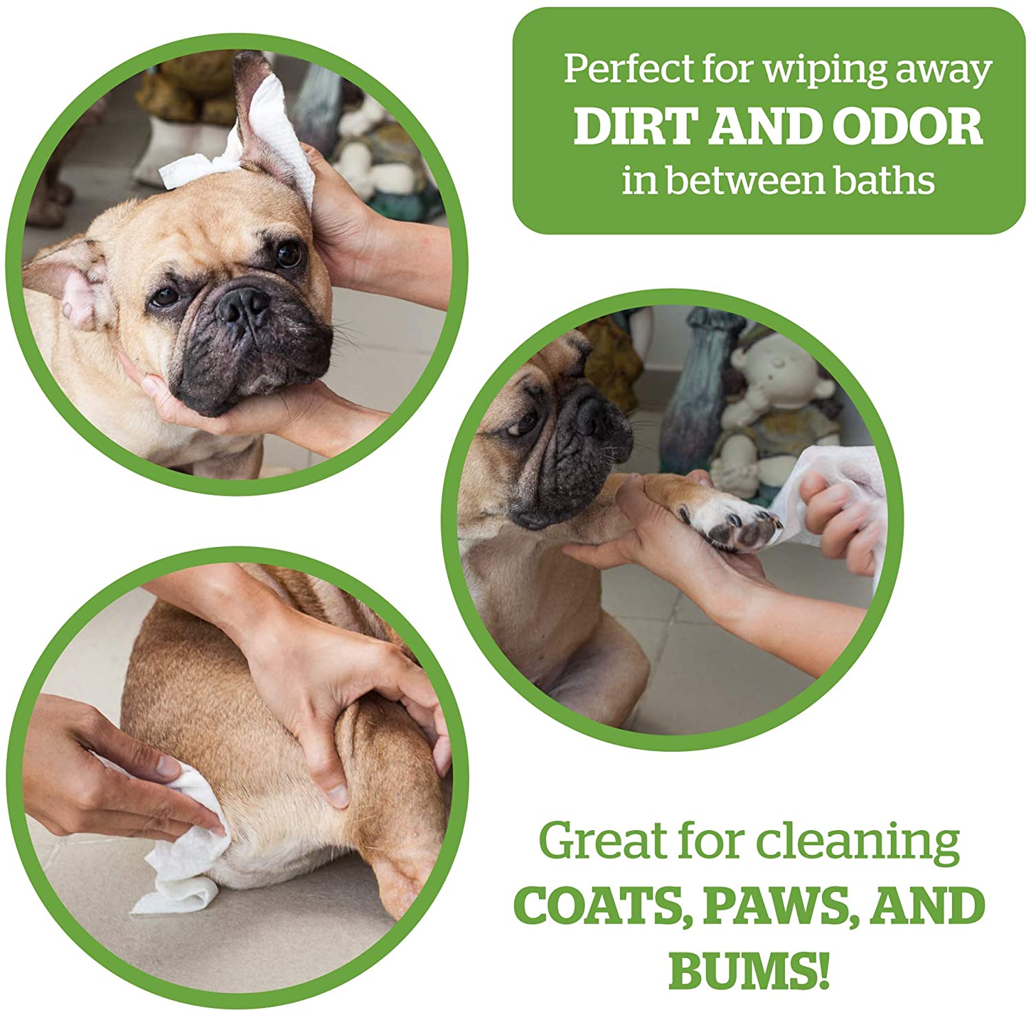 Pogi’s Dog Wipes - Plant-Based, Hypoallergenic Wipes for Dogs and Puppies - Fragrance Free, 100-Count, Fragrance-Free - Image 3