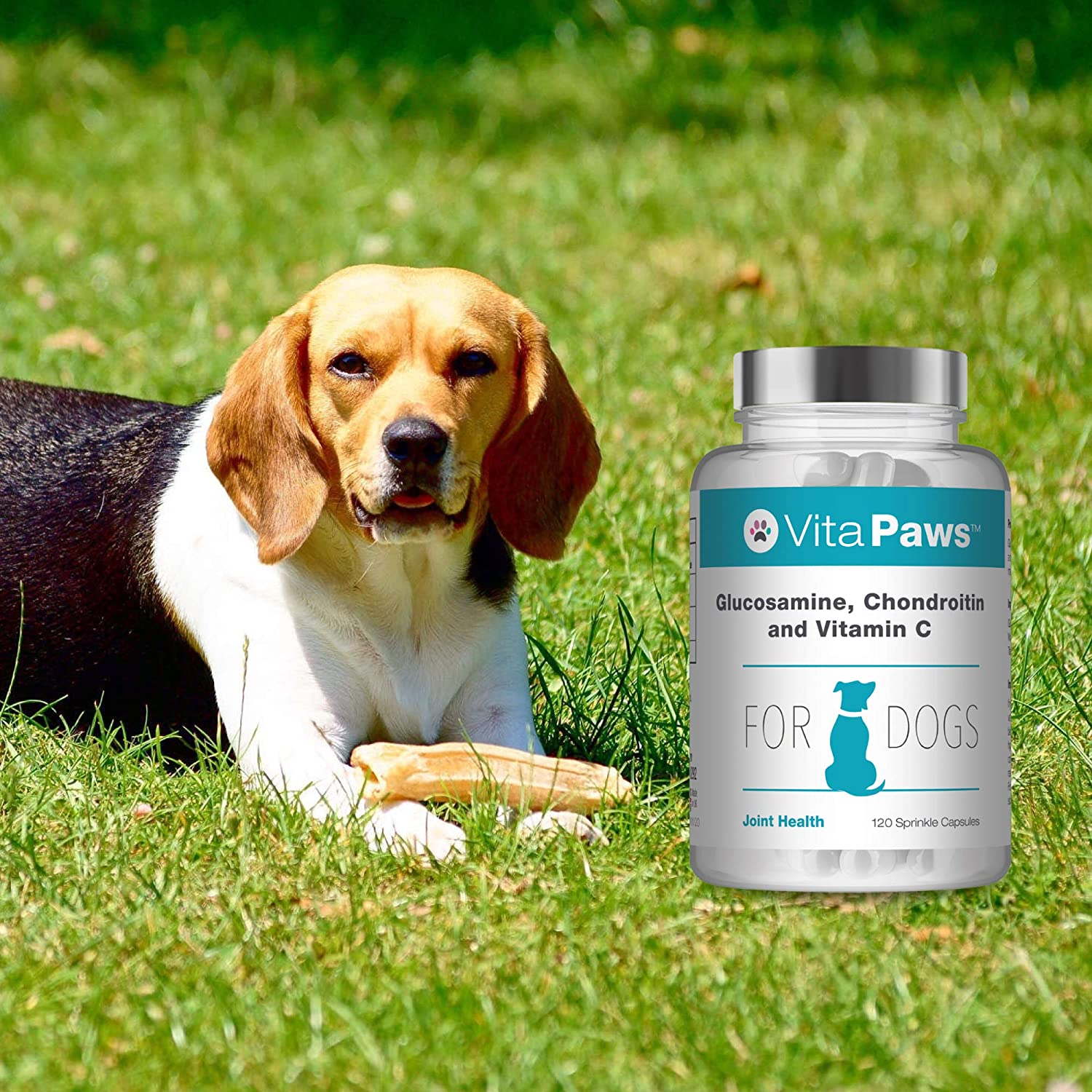 Glucosamine for Dogs with Added Chondroitin and Vitamin C 120