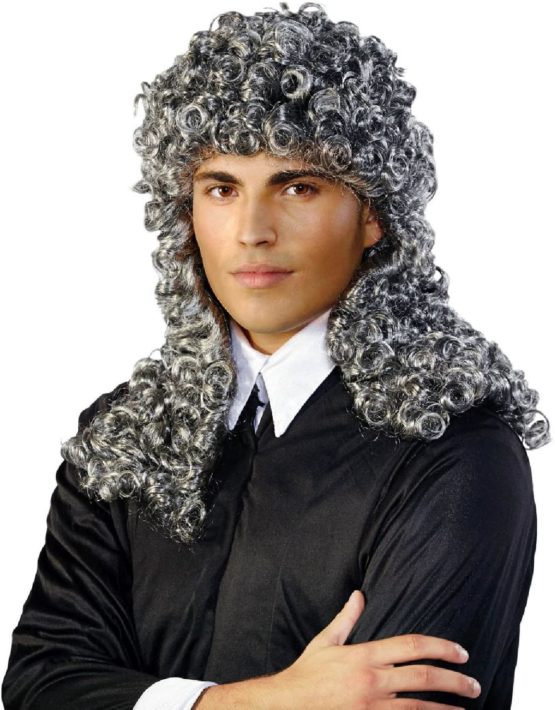 Folat - Grey Judge Wig - One Size - Image 2