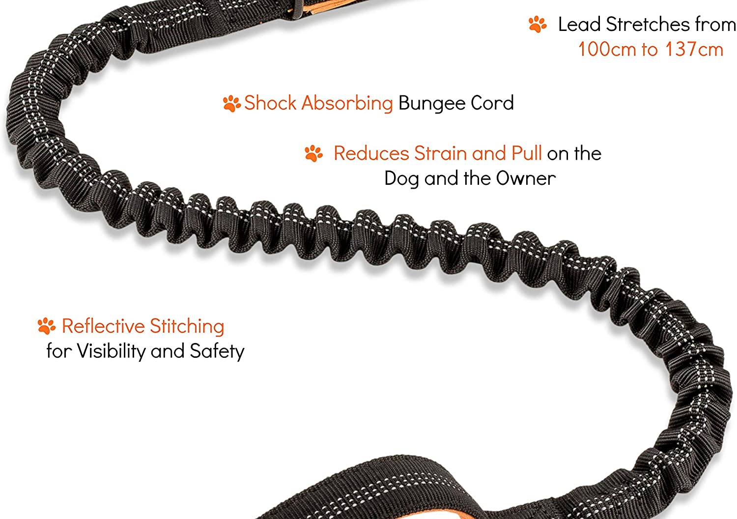 Sweetie Bungee Dog Lead, Shock Absorbing Leash that Softens Pulls & Stops - Image 3