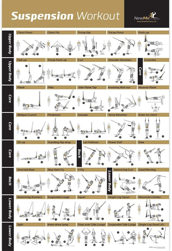 NewMe Fitness Suspension Exercise Poster Laminated Strength Training
