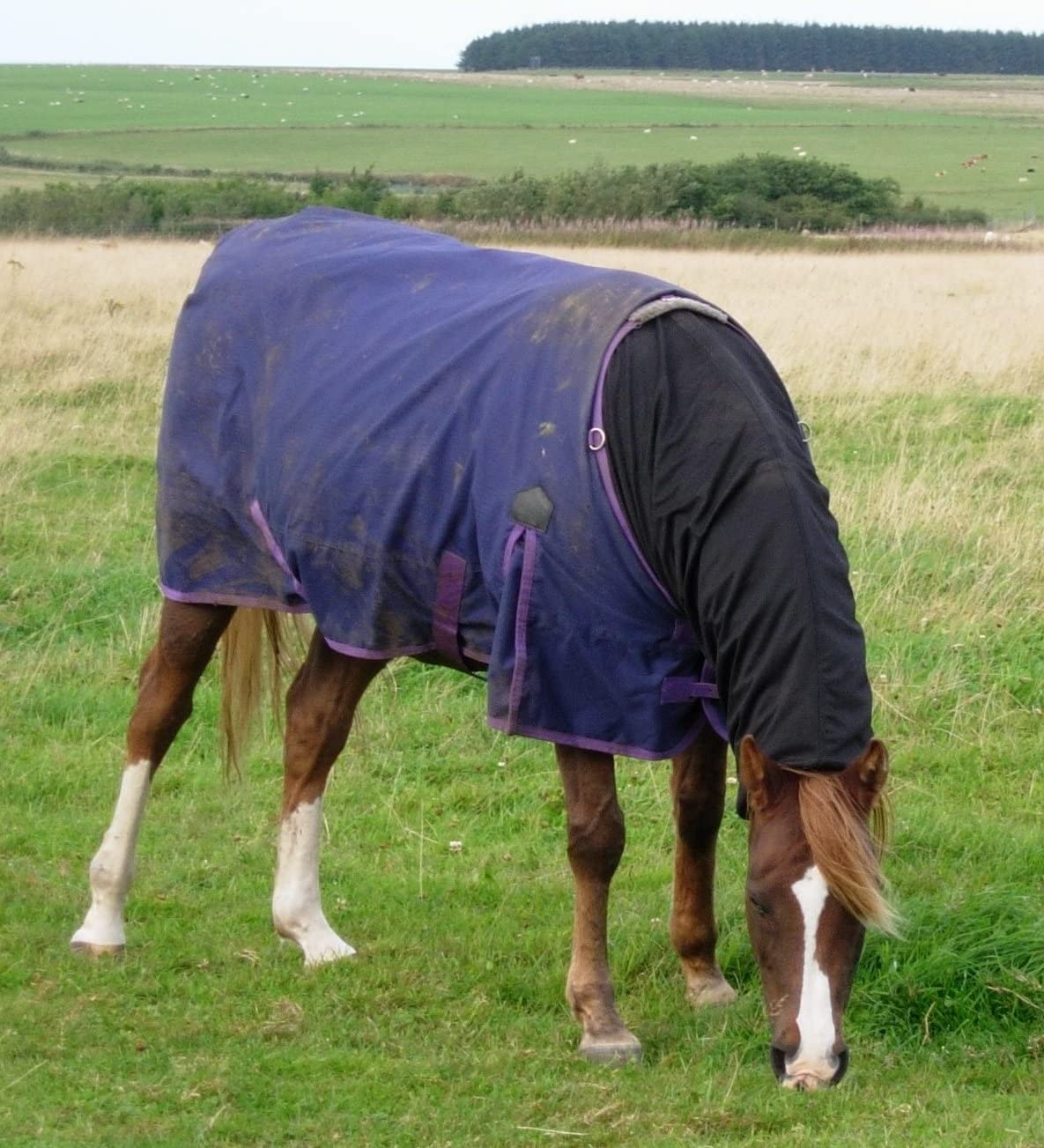 Snuggy Hoods Weatherproof Headless Turn Out Hood for Horse or Pony (Navy, XS) - Image 3