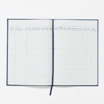 Exacompta Guildhall Account Book, 298x203mm, 16 Cash Columns