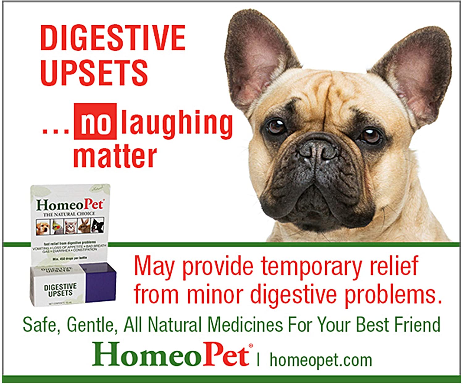 HomeoPet Digestive Upsets Natural Pet Digestive Support, Supports Temporary Relief from Digestive Problems, 15 Milliliters - Image 3