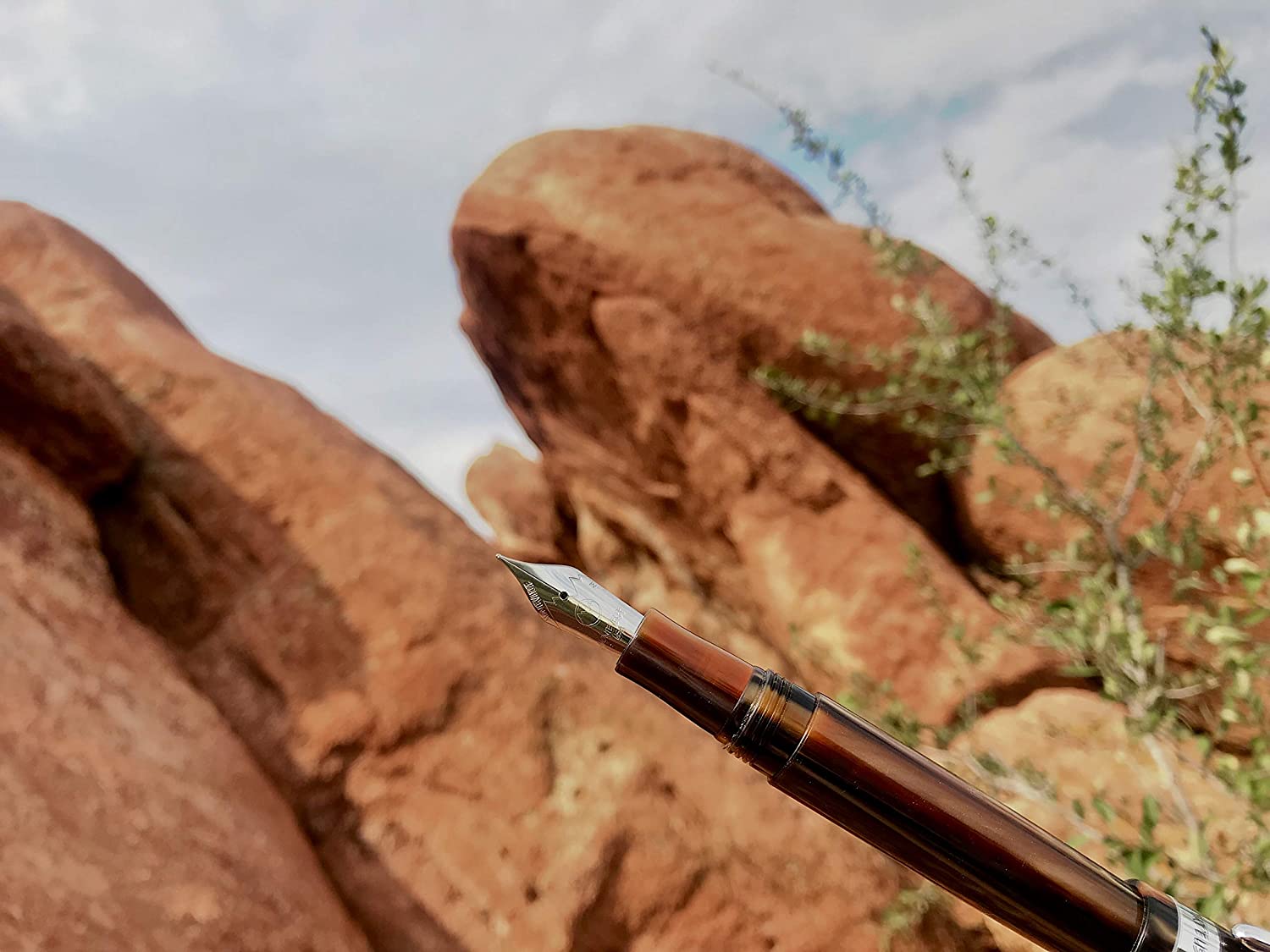 Monteverde "M Giant Sequoia Fountain Pen - Brown, MV32263 - Image 4