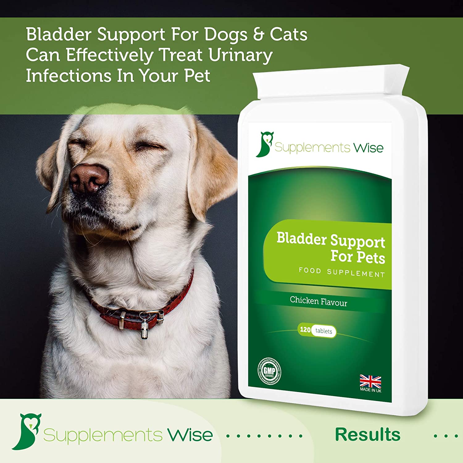Bladder Support For Dogs and Cats, UTI Treatment, Urinary Tract Infection and Cystitis Relief - Image 4