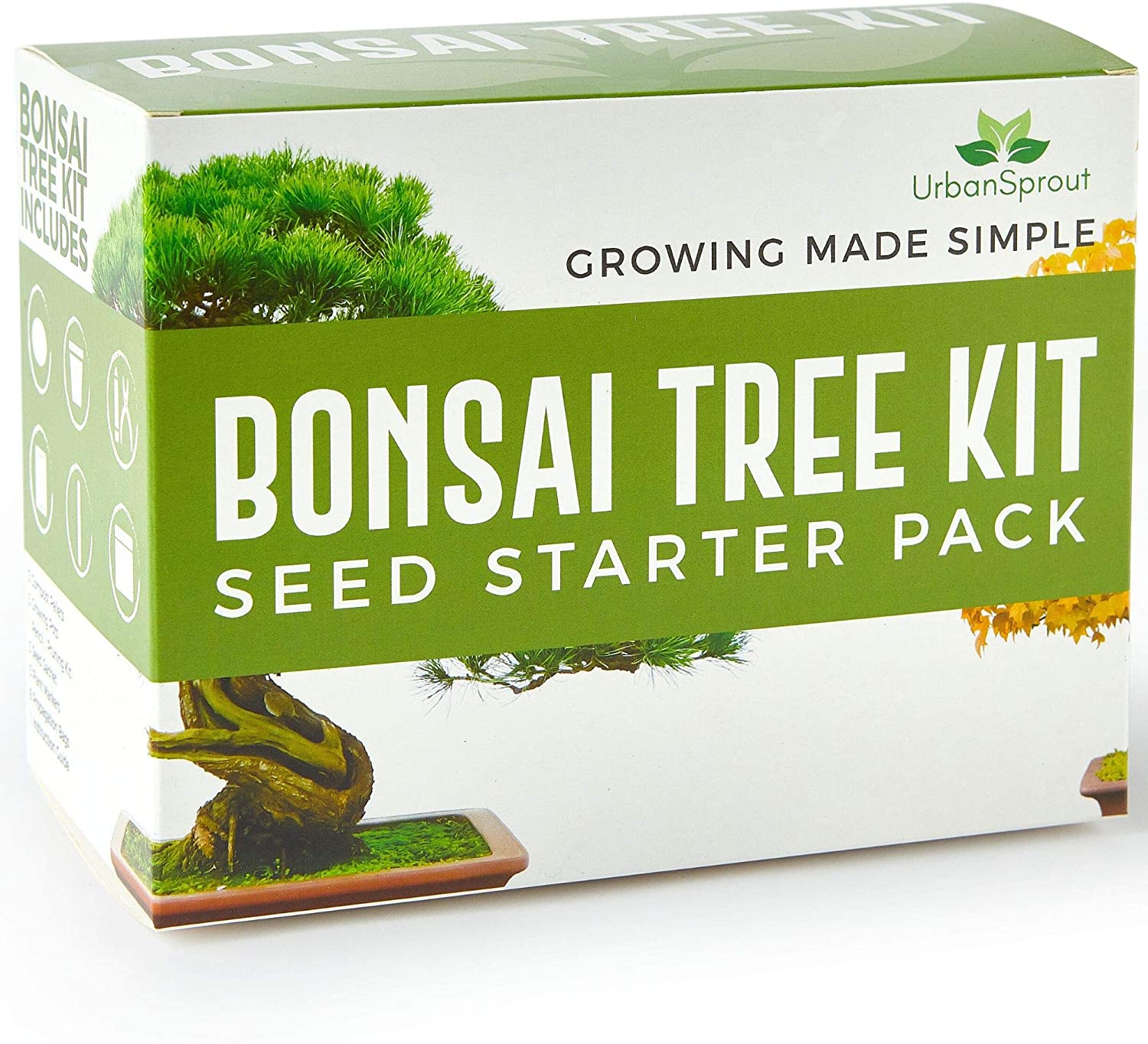 Urban Sprout Bonsai Tree Kit Grow Your Own Bonsai Trees