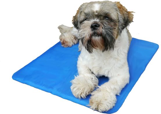 Rosewood Chillax Cool Pad, Medium, 40 x 50 cm