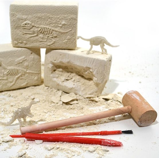 real fossil digging kit