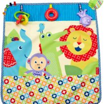 Fisher-Price On-the-Go Activity Throw