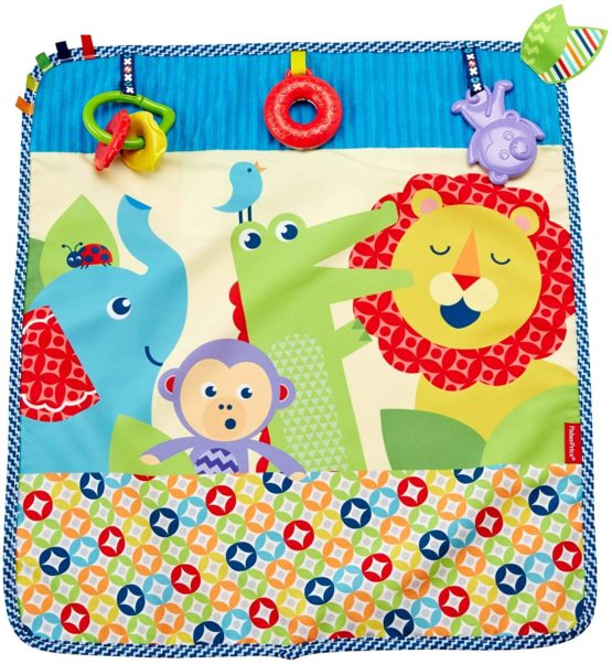 Fisher-Price On-the-Go Activity Throw