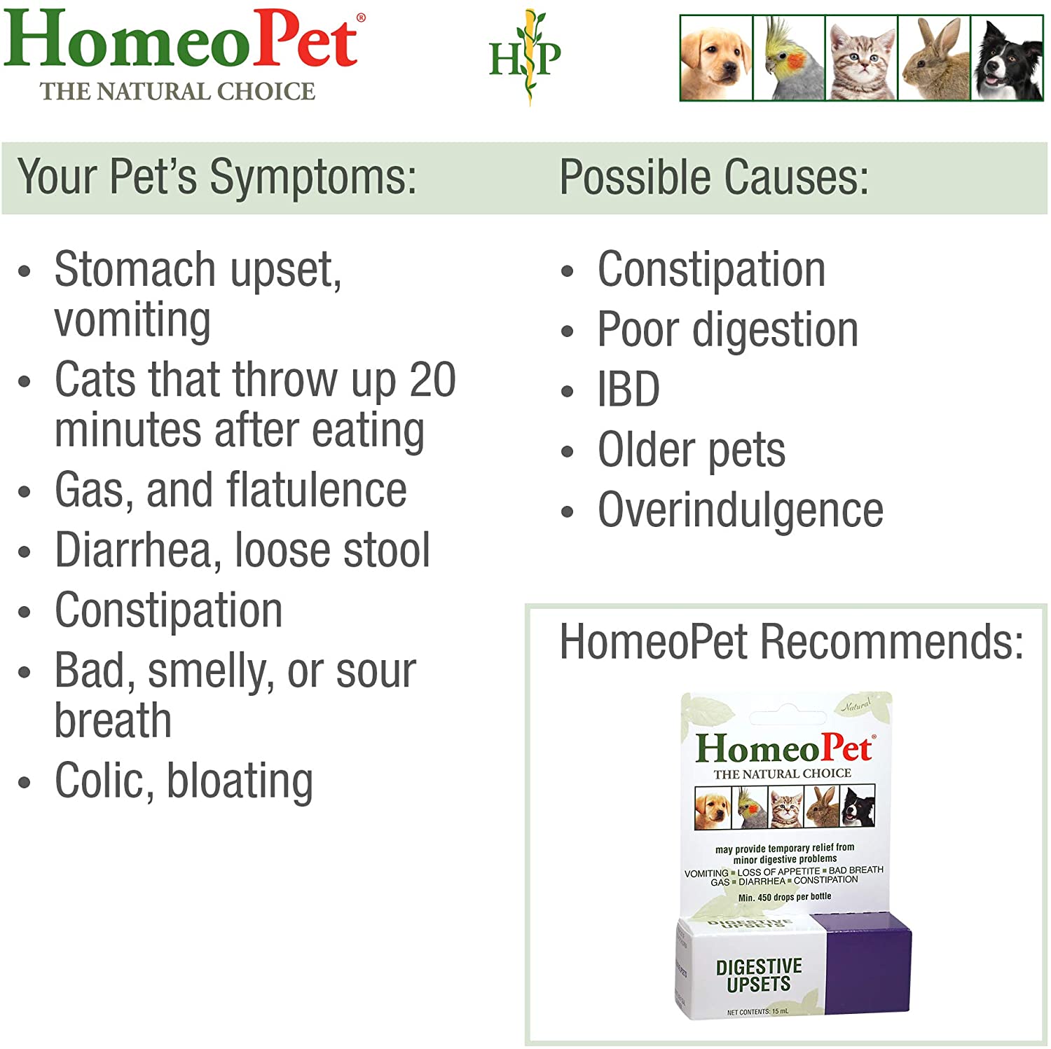 HomeoPet Digestive Upsets Natural Pet Digestive Support, Supports Temporary Relief from Digestive Problems, 15 Milliliters - Image 4