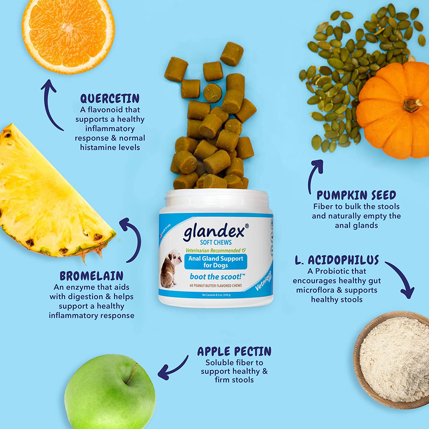 glandex Fibre Supplements Dog Chews Treat With Pumpkin for Dogs