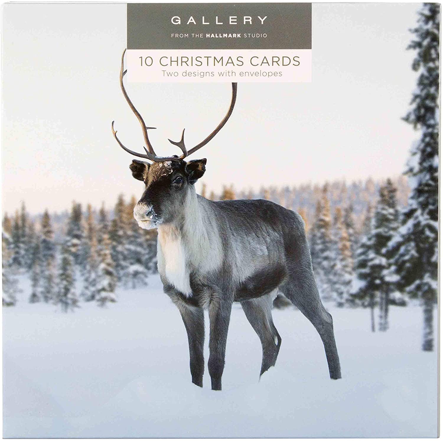 Hallmark 25499887 Gallery Christmas Card Pack "Snowy Scenes" - 10 Cards, 2 Designs - Image 2