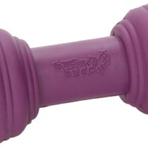 Busy Buddy Chuckle, Interactive Treat Dispensing Dog Toy, Chew Toy with Engaging Noise