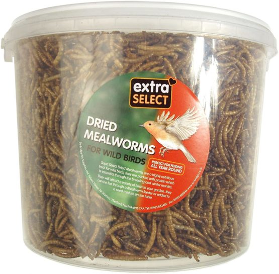 Extra Select Dried Mealworms Wild Bird Feed Treat, 5 Litre