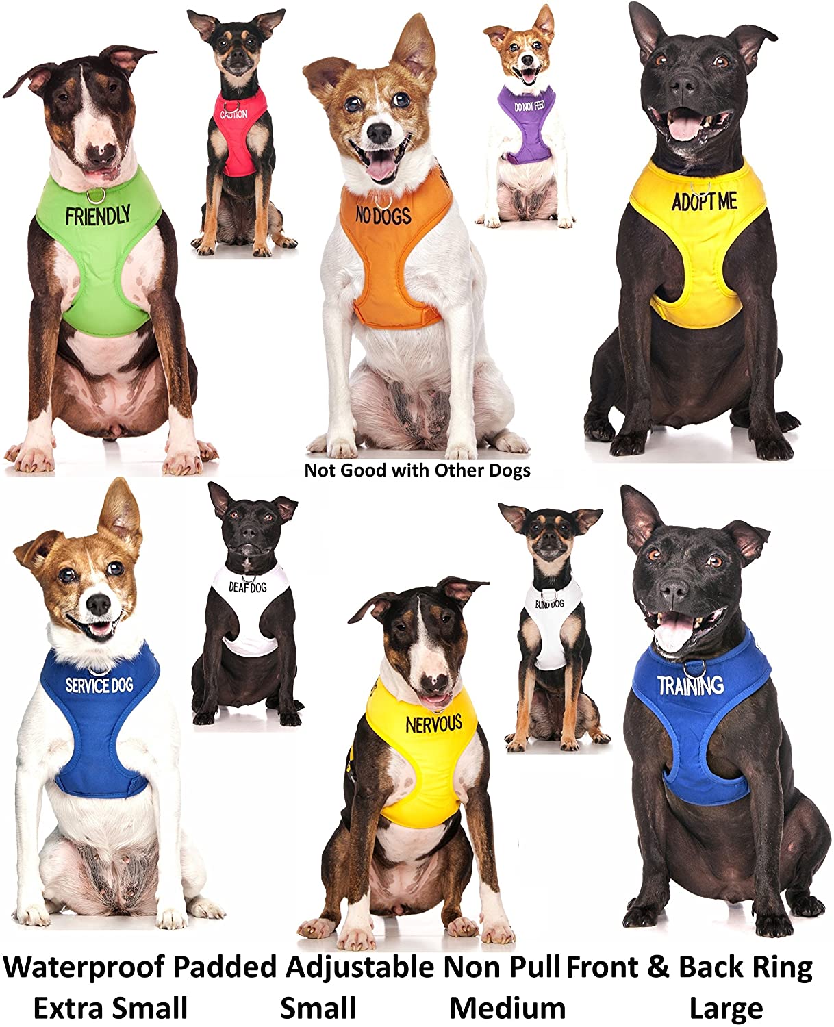 Dexil NERVOUS (Give Me Space) Yellow Colour Coded Non-Pull Front and Back D Ring Padded and Waterproof Vest Dog Harness PREVENTS Accidents By Warning Others Of Your Dog In Advance (M) - Image 4