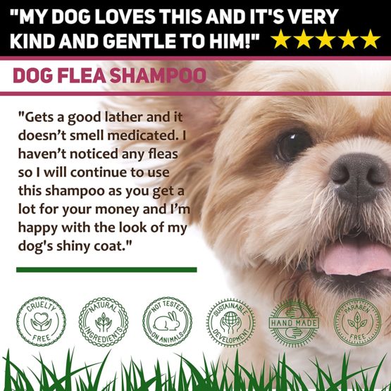Flea Shampoo For Dogs 500ml - Sensitive Itchy Skin Dog and Puppy Grooming - Medicated Fleas Treatment - Image 4