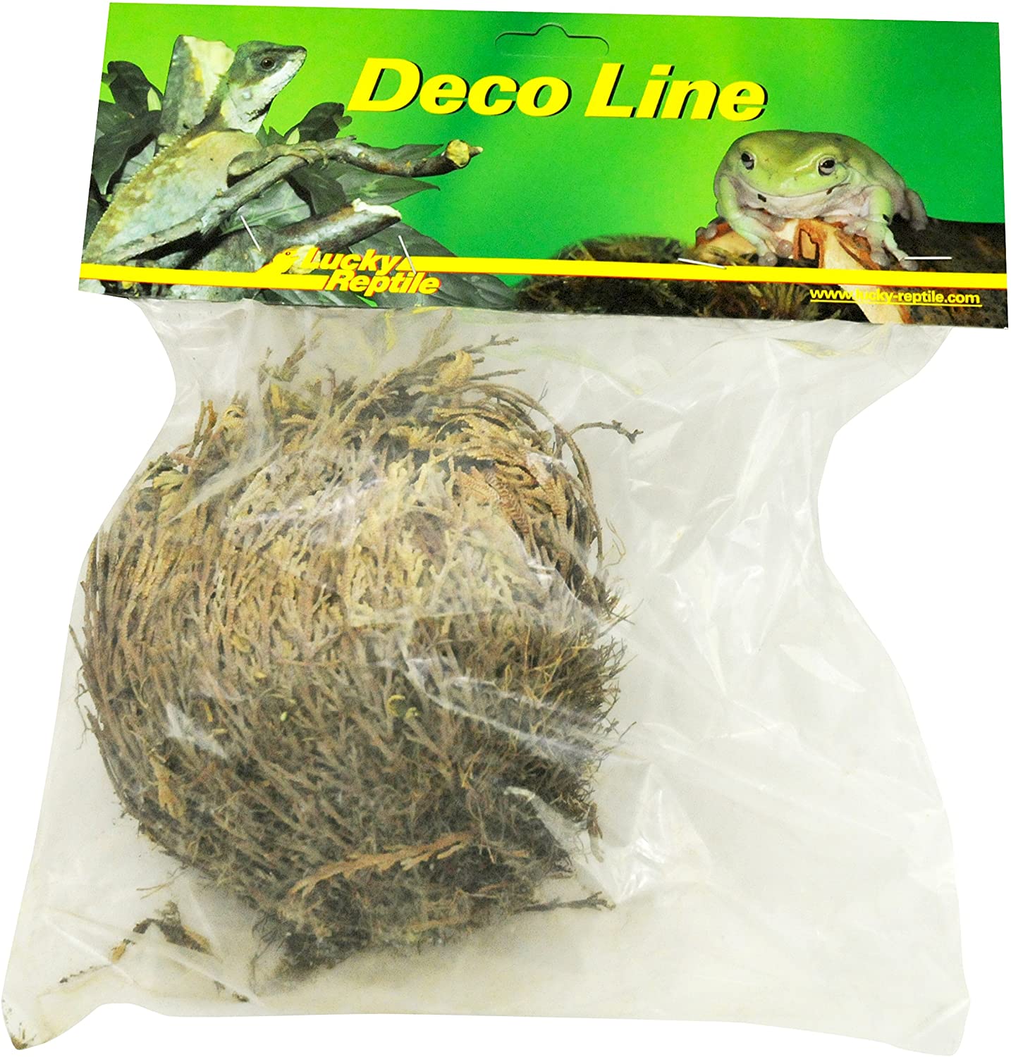 Lucky Reptile DL-RJ Rose of Jericho Live Plant, green