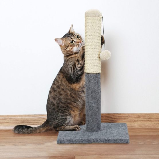 Relaxdays Freestanding Scratching Post for Cats with Sisal Post and Ball, 54 cm, Grey - Image 2