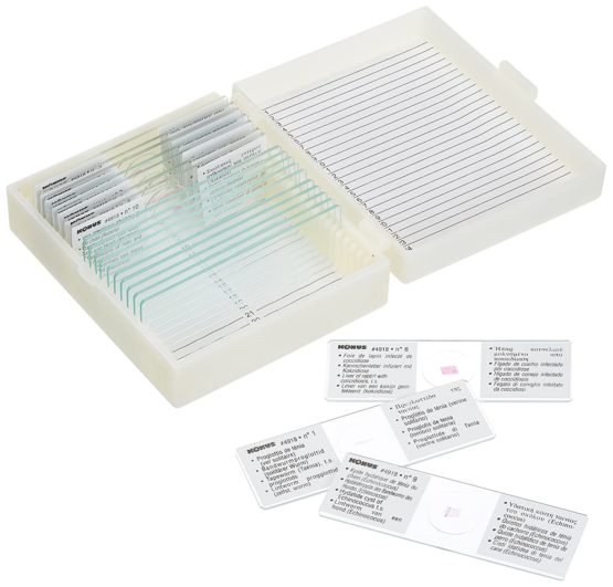 Konus Preparation Set - Parasites (Pack of 10)